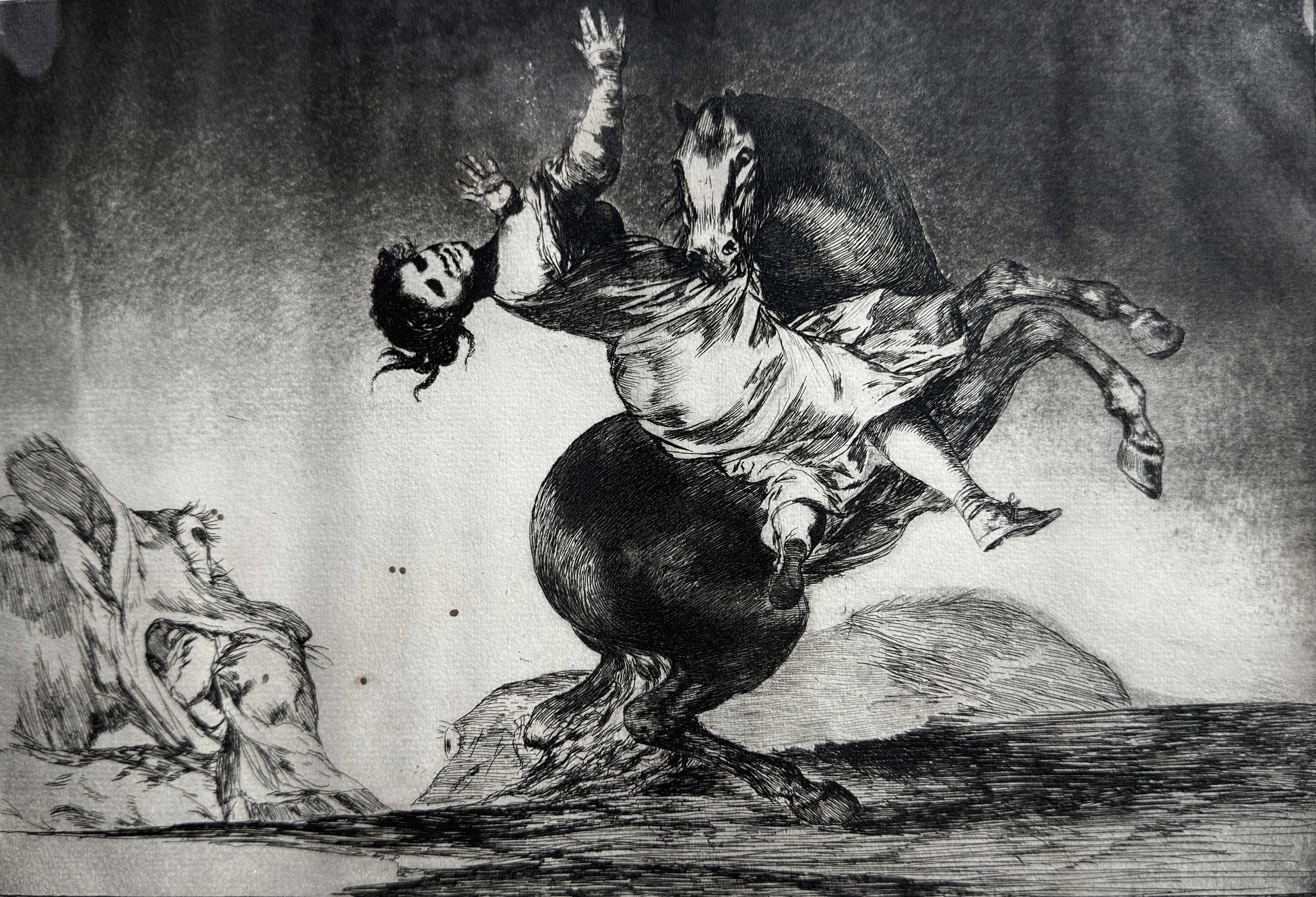 Francisco Goya: Los Disparates (1864) | Complete Set & PVR